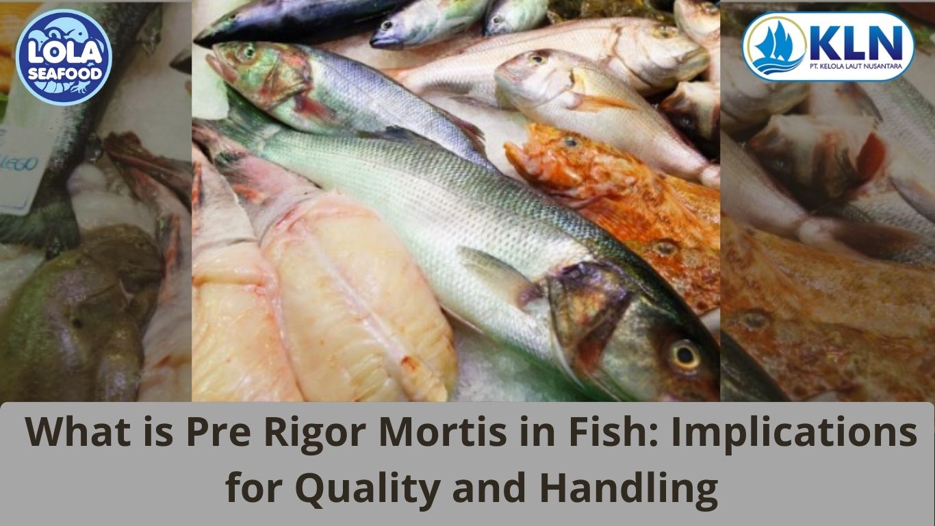 What is Pre Rigor Mortis in Fish: Implications for Quality and Handling